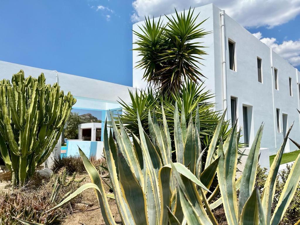 Leblanc Luxurious Beachfront Villa, Gcollectiongr Ermioni Exterior foto